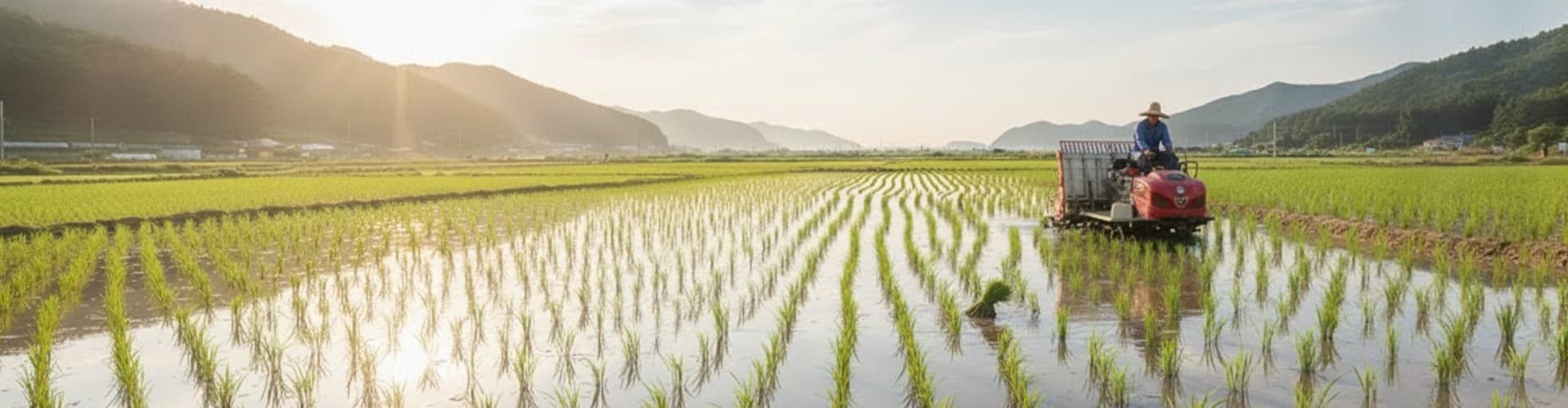 About Section Background